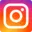 Instagram Icon