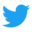 Twitter Icon